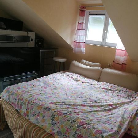 Wohlfuehloase - Zimmer, Appartment - Im Herzen Starnbergs 客房 照片