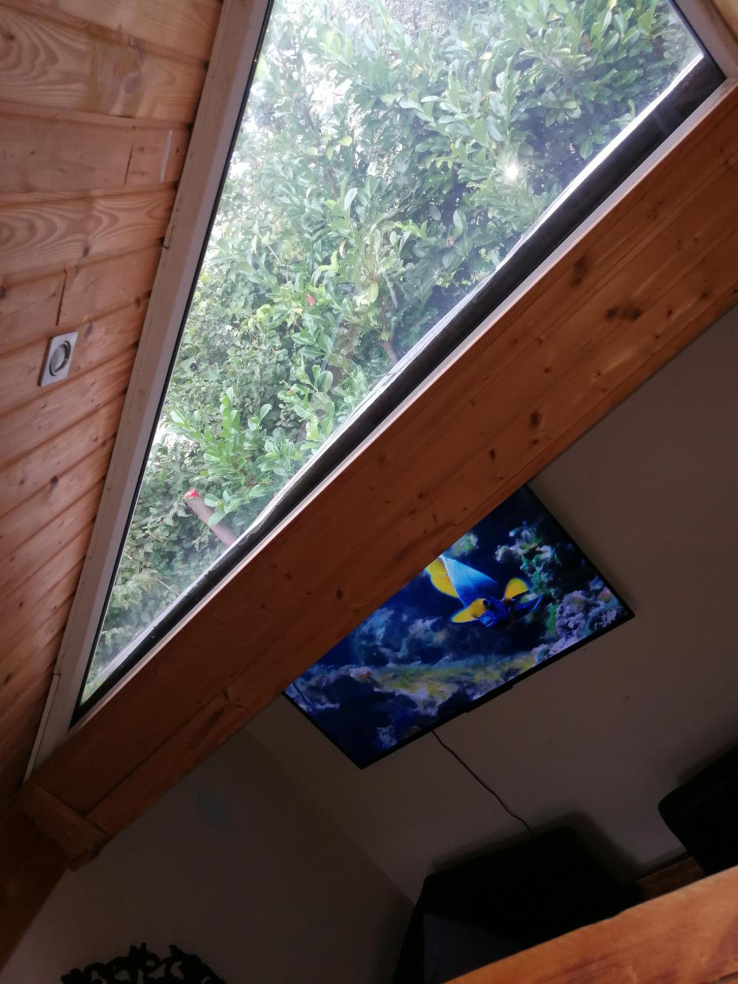 Wohlfuehloase - Zimmer, Appartment - Im Herzen Starnbergs 客房 照片